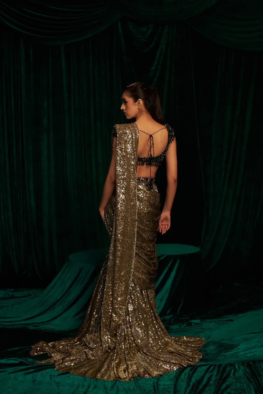 Black embroidered Blouse with Fishtail Saree