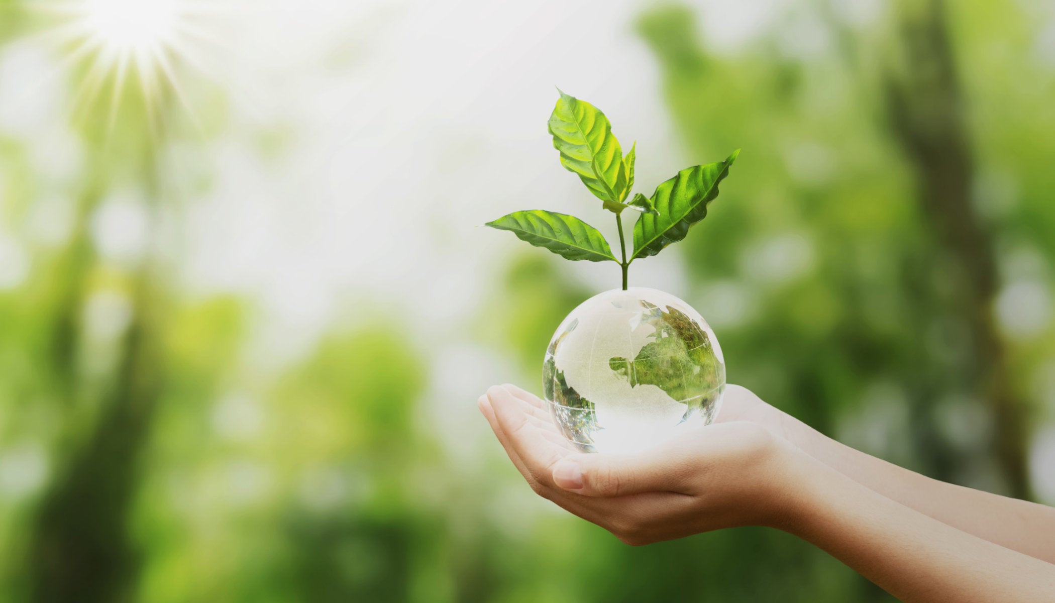 Earth Day 2021: How the fashion industry is doing its part to be sustainable