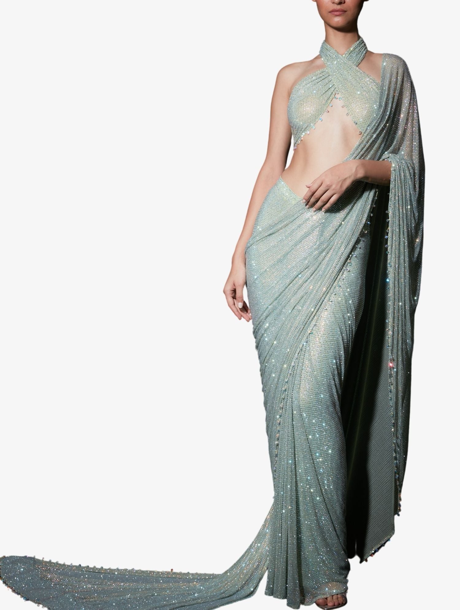 Lavish Lose Sari