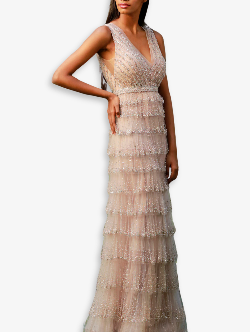 Daisy Embellished Gown