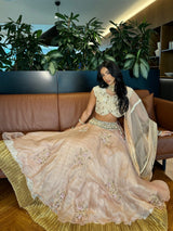 Rose pink organza lehenga