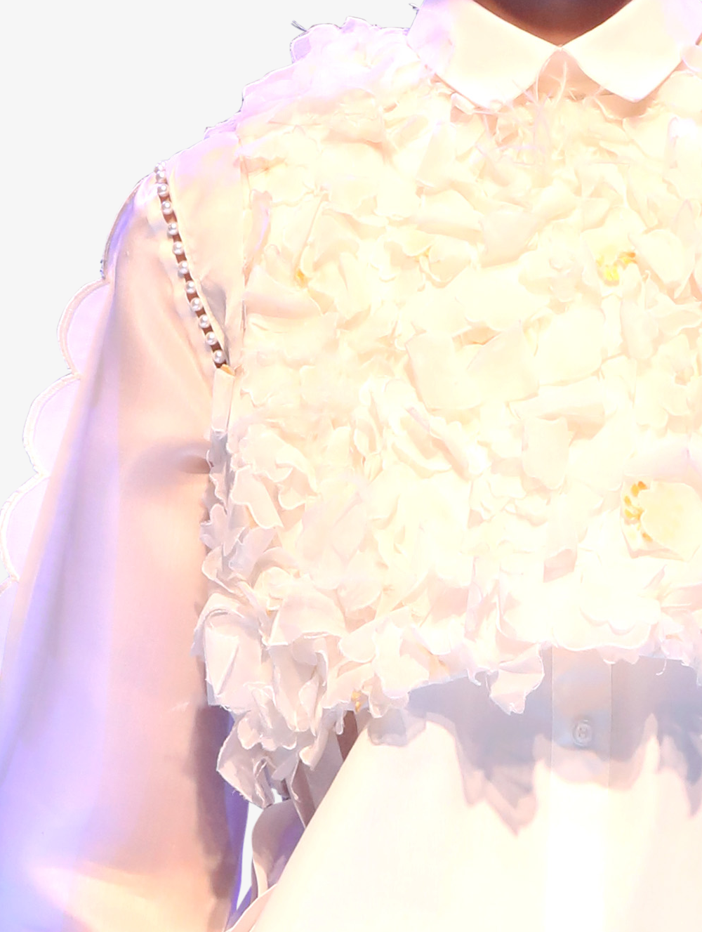 3D Hand-embroidered Ivory organza set