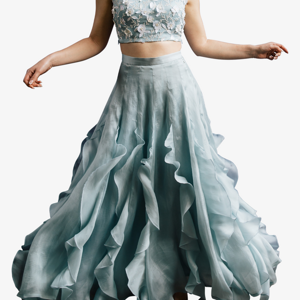 Ruffle skirt and sales top